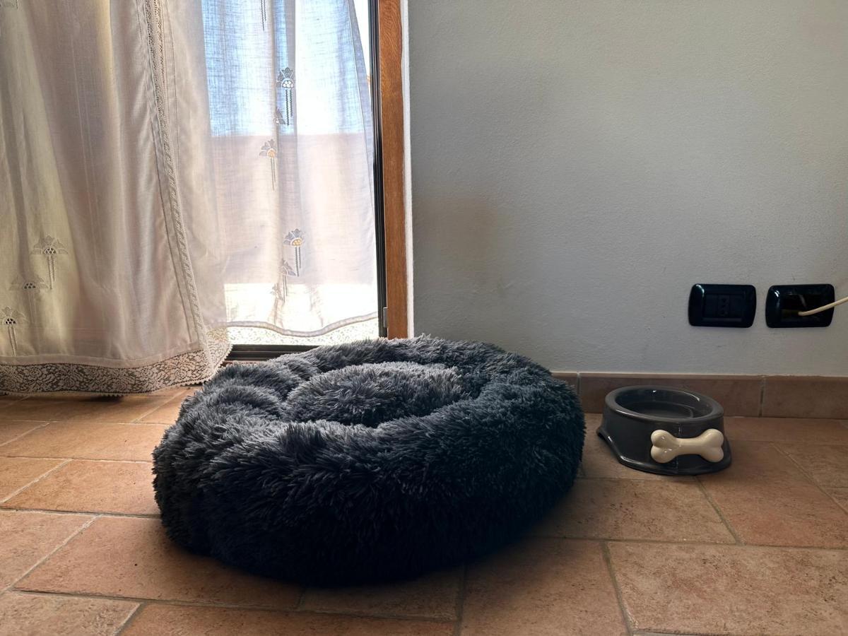 Willa Crock House Funtana Meiga Zewnętrze zdjęcie
